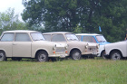 Trabant sraz Morava 2012 - foto