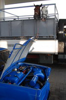 Klikni pro zv�t�en�