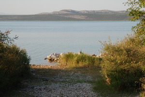 Klikni pro zv�t�en�