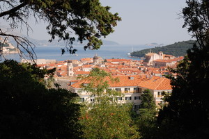 Klikni pro zv�t�en�