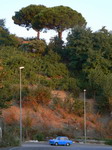 Klikni pro zv�t�en�