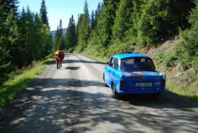 Klikni pro zv�t�en�